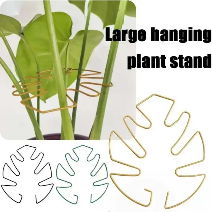 Clips de Support de tige de plante