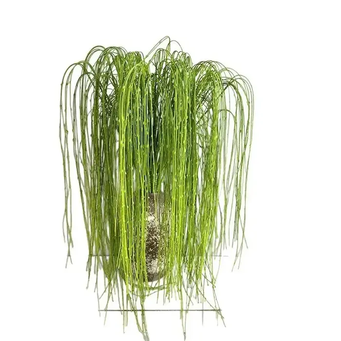 Simulation de plantes de saules pleureurs