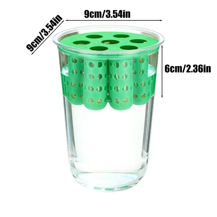 Kit de culture hydroponique réutilisable transparent pour oignon vert