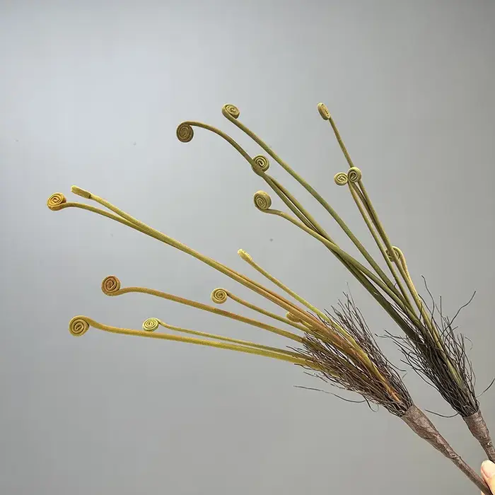 Nouvelles plantes artificielles de germes de fougère floquées pour la maison décor de Table de mariage fleur
