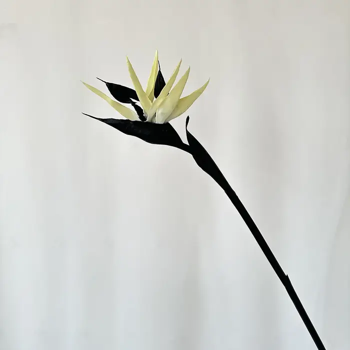 Fleur artificielle en PU au toucher réel, plantes d'oiseaux du ciel, décoration de maison, accessoir
