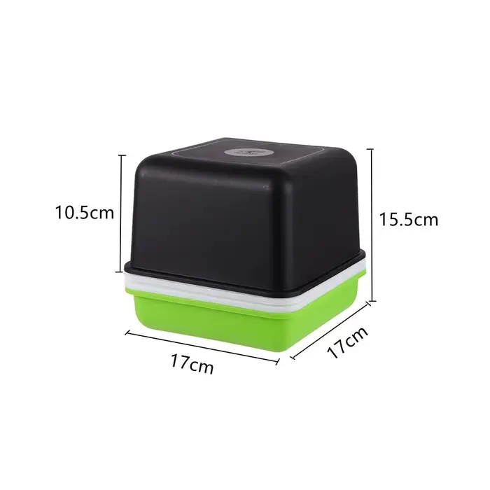 Plateau de culture hydroponique pour semis d'ail