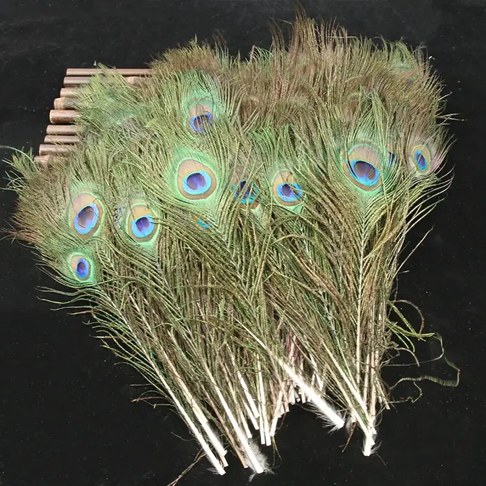 Plumes de paon naturelles 25-30cm, plumes d'oeil en vrac pour bricolage, Vase artisanal, décorations