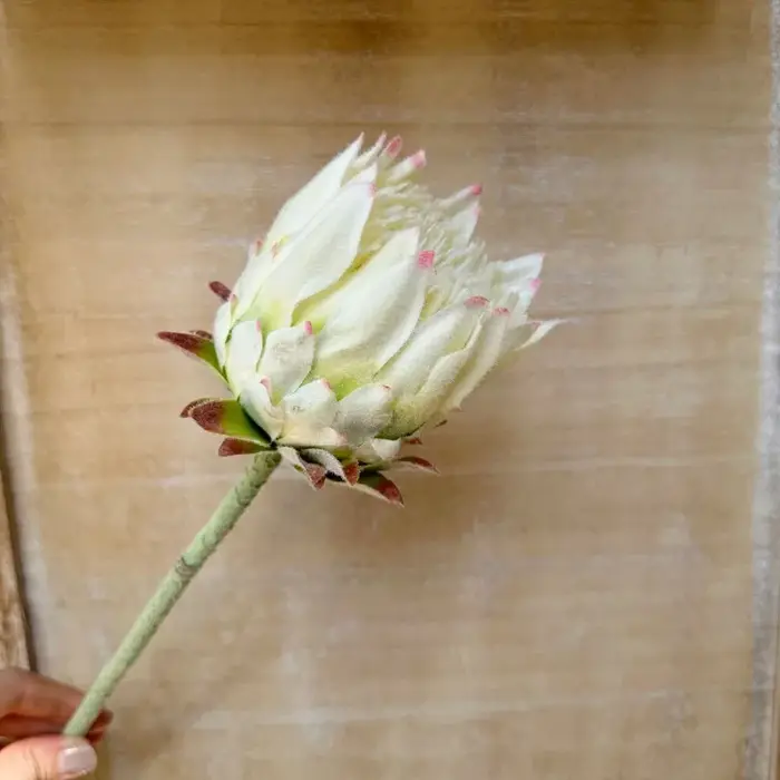 Fleurs artificielles King Protea réalistes