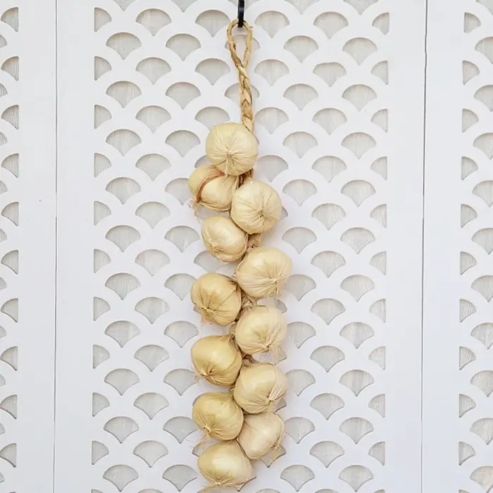 Simulation de ficelle d'ail et de légumes artificielle