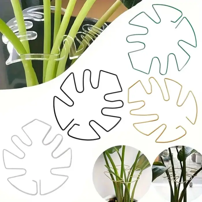 Support de plante stabilisateur