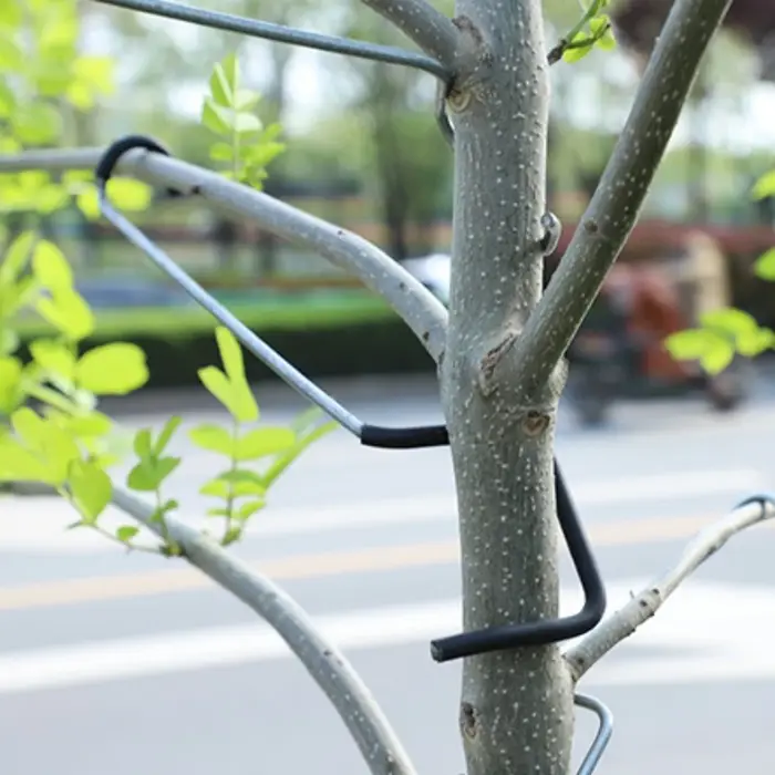 10 pièces Support de Branches d'arbre fruitier