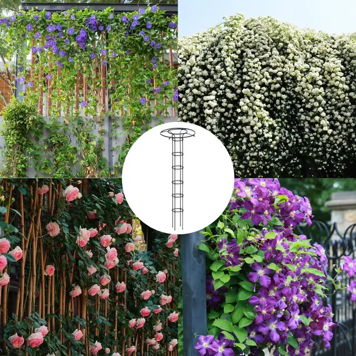 Treillis de jardin en forme de parapluie pour plantes grimpantes