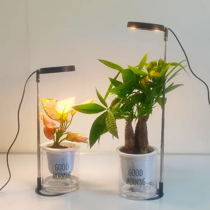 Lampe de croissance LED pour plantes d'intérieur