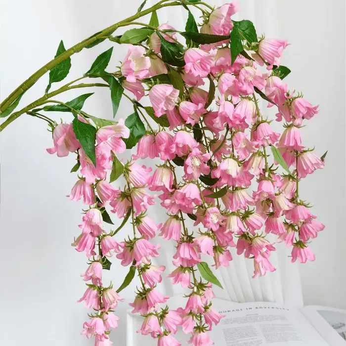 Fleurs de glycine, fleurs de muguet