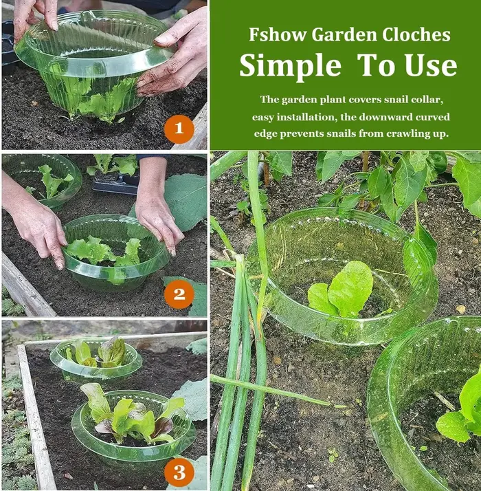 1/30 pièces Anneaux de protection anti-légionnaires pour plantes