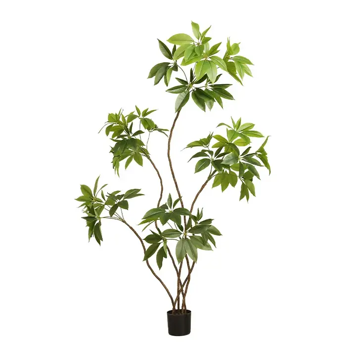 Simulation de plantes vertes en forme de grande feuille