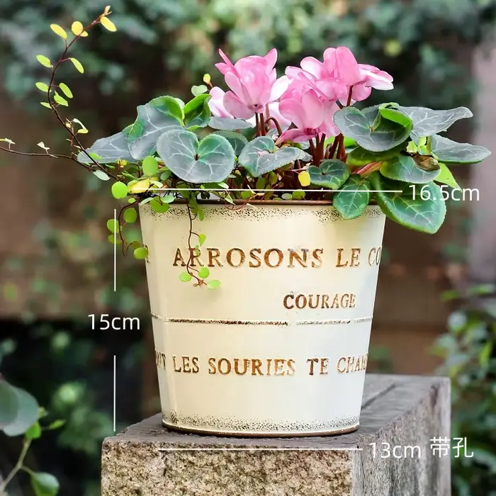 Pot de fleur en métal japonais, jardinière en fer pour plantes succulentes, conteneur de bonsaï de j