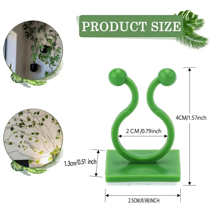 Clips muraux pour plantes grimpantes