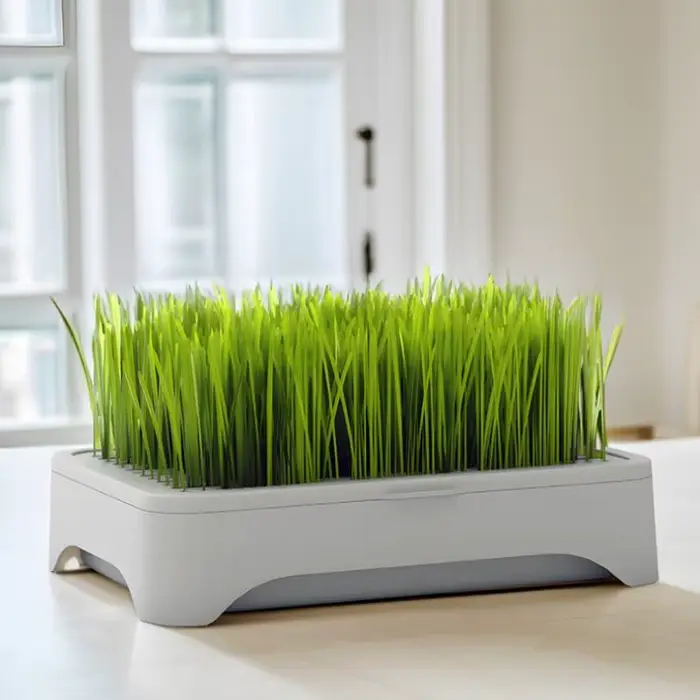 ㈅ Bac de culture hydroponique pour herbe à chat, pot de semis de blé sans terre, dispositif hydroponique pour herbe pour chatons, pot de culture horticole