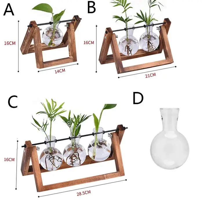 Vases de plantes hydroponiques