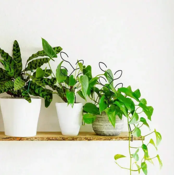 1 support créatif pour plantes en pot d'extérieur