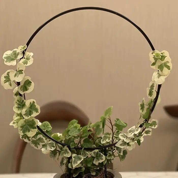Piquet de support de plante de jardin en forme de coeur