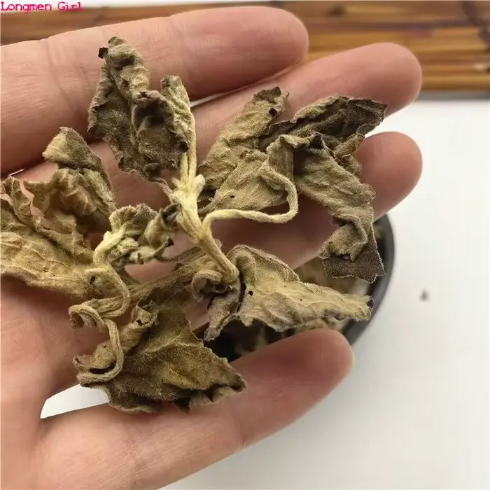 Patchouli séché naturel de haute qualité