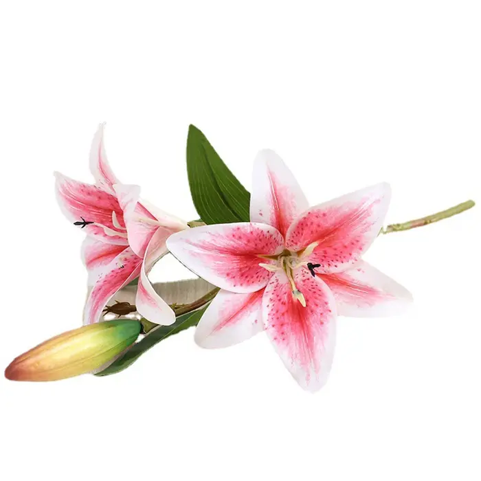 Branche de lys imprimée en 3D