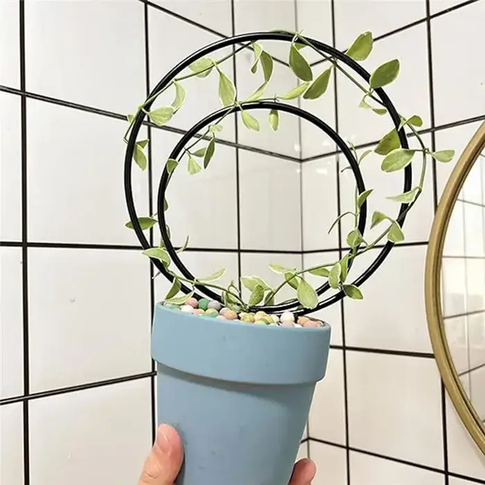 A36T-Ensemble de 3 treillis ronds d'intérieur pour plantes grimpantes
