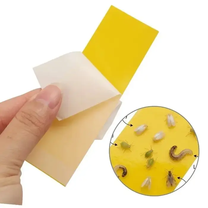 Pièges collants pour insectes 15/60x