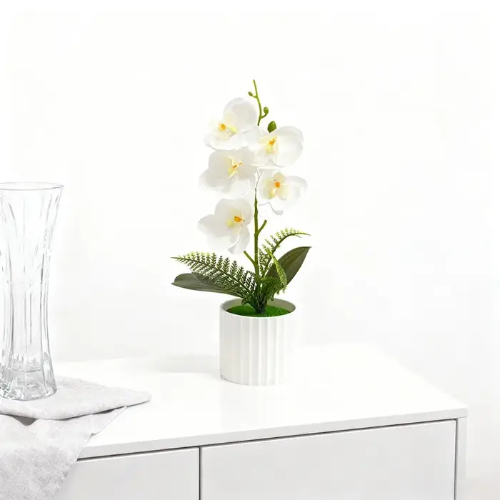 Pot de barre verticale avec 5 orchidées papillon