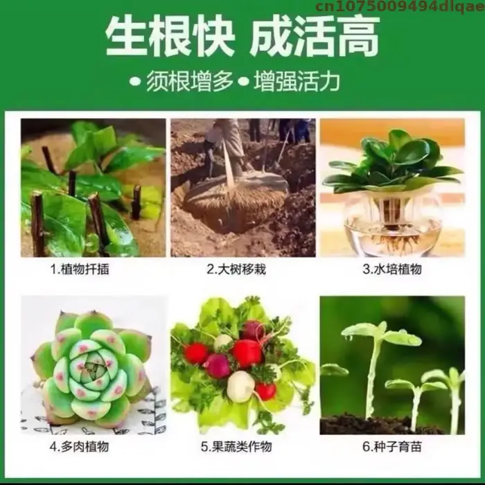 Sel de potassium d'acide indole-3-butyrique (IBA-K) soluble dans l'eau 98% TC - Hormone d'enracinement végétal en poudre pour le jardinage et l'agriculture