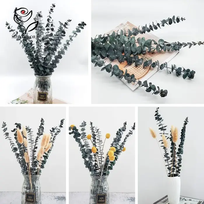 Bouquet de fleurs séchées naturelles d'eucalyptus