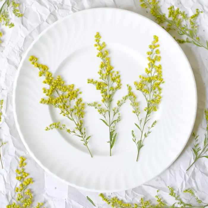 12 pièces, fleurs séchées pressées de rose dorée naturelle