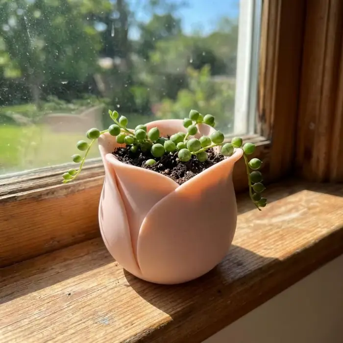 Ornement de bureau, mini pots en plastique en forme de rose