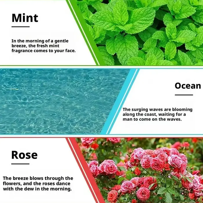 Huile essentielle saveur de fruits plante naturelle lavande ROSE citron menthe