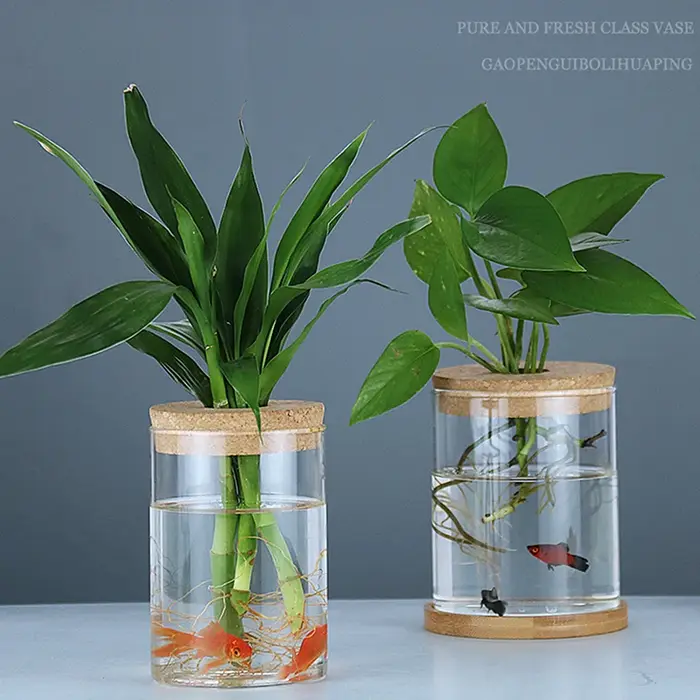 Pot de fleur hydroponique transparent