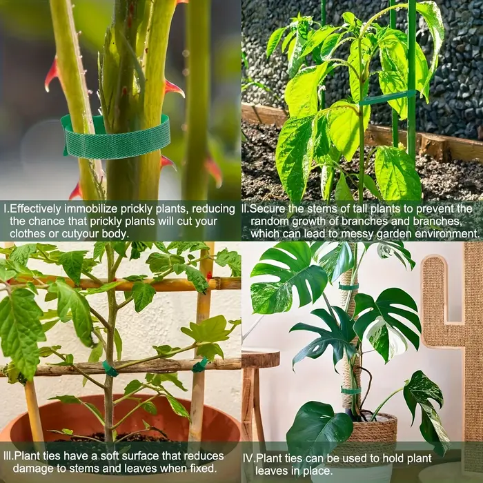 Attaches réutilisables pour plantes en Nylon antidérapantes