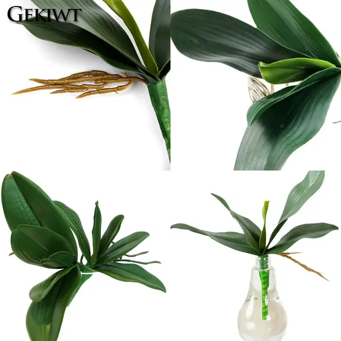 Plantes artificielles : Feuilles de Phalaenopsis