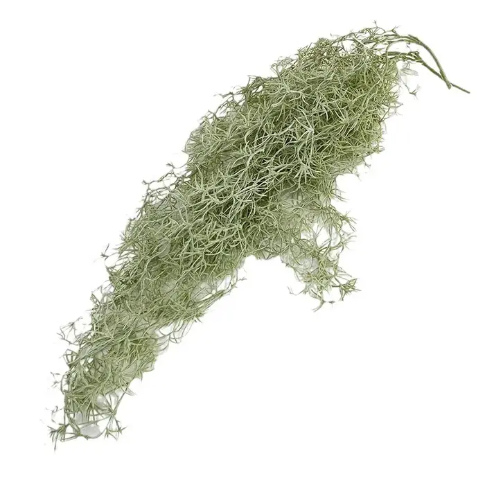 2 pièces plante de Simulation 85cm en plastique Air herbe vignes mariage décoratif plantes vertes artificielles feuilles vigne décoration de jardin
