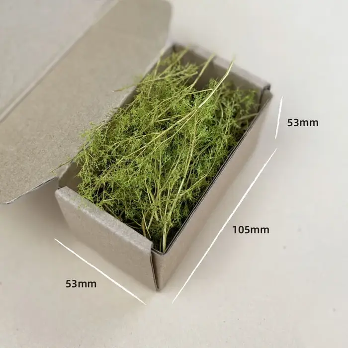 Kit de modèle d'herbe sèche