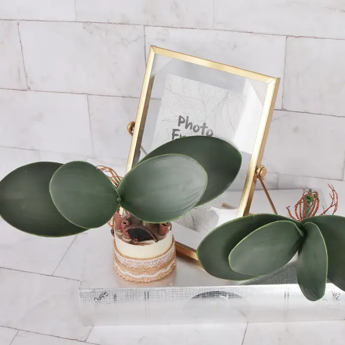 Simulation de Phalaenopsis artificielle