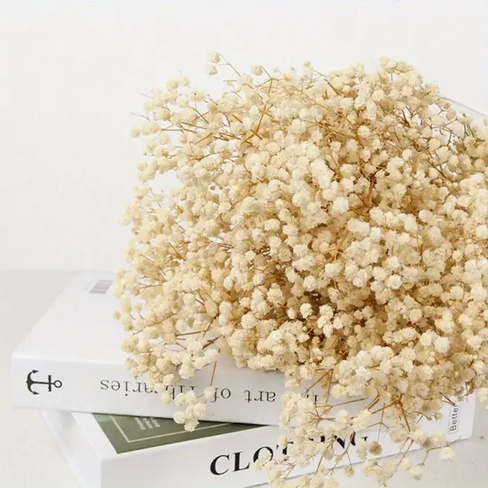 Fleurs séchées naturelles conservées, 130g, souffle de bébé, décoration de maison, gypsophile nature