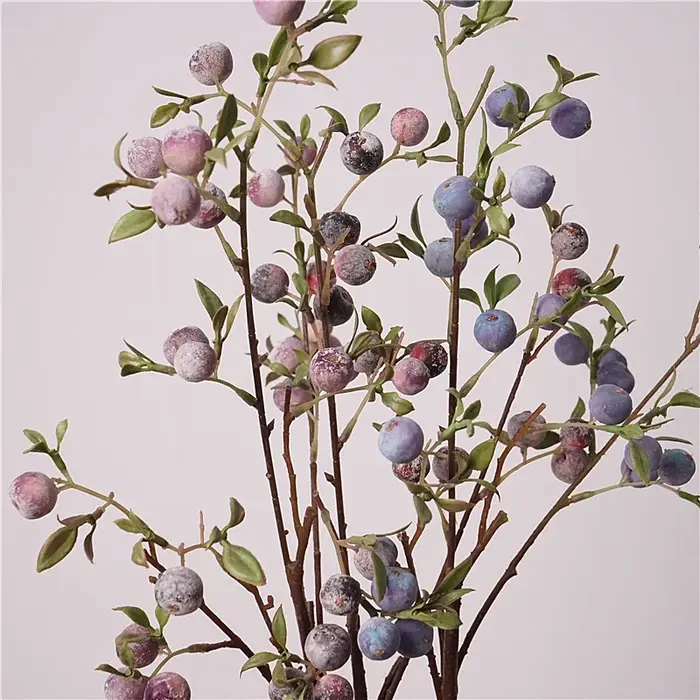 Ornements de fruits de jardinage