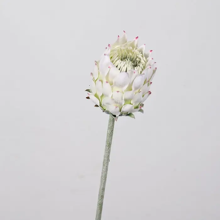 27, 5 pouces artificielle roi Protea fleur chardon nordique fausse
