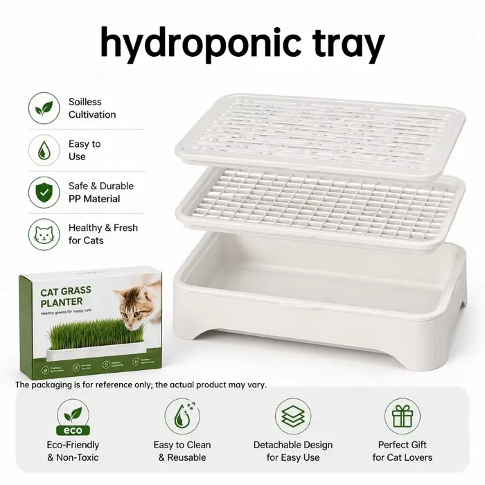 Pot hydroponique pour la culture de l'herbe à chatons