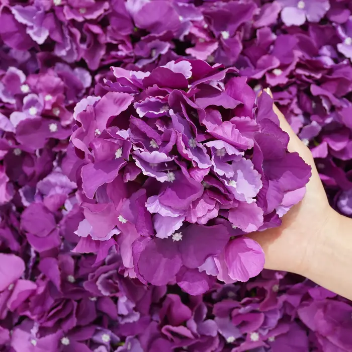15 pièces/lot 18CM 54 pétales grandes têtes florales d'hortensia fleurs artificielles maison bricolage décoration de jardin de mariage faux flotteurs mur fête