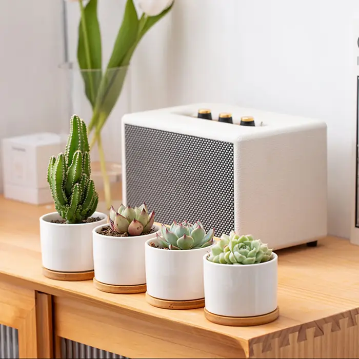 Mini pot de fleurs en céramique blanche Simple
