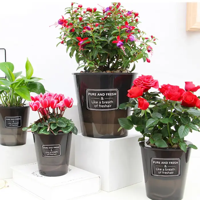Pot de Fleur Hydroponique Créatif