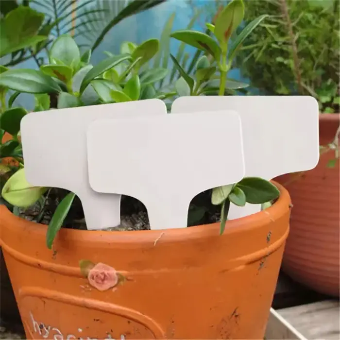 Étiquettes de jardin étanches pour plantes, 100 pièces, Classification, panneau de tri, billet, plaq