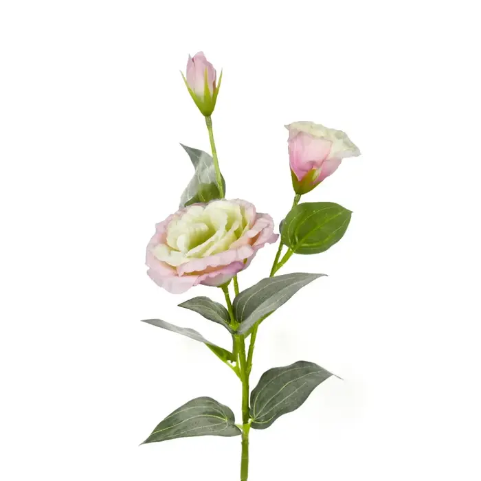 Fleur artificielle Lisianthus à 3 branches, fausse fleur de mariage DIY, décoration nuptiale, fleur d'Eustoma trigéminal en gros