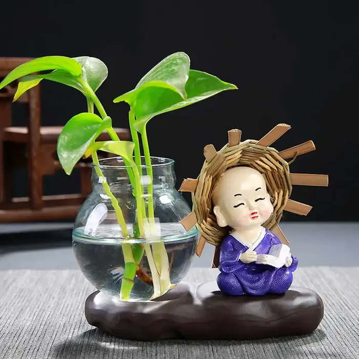 Vase en verre belle plante transparente Terrarium