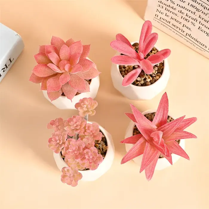 Ensemble de Mini plantes succulentes artificielles