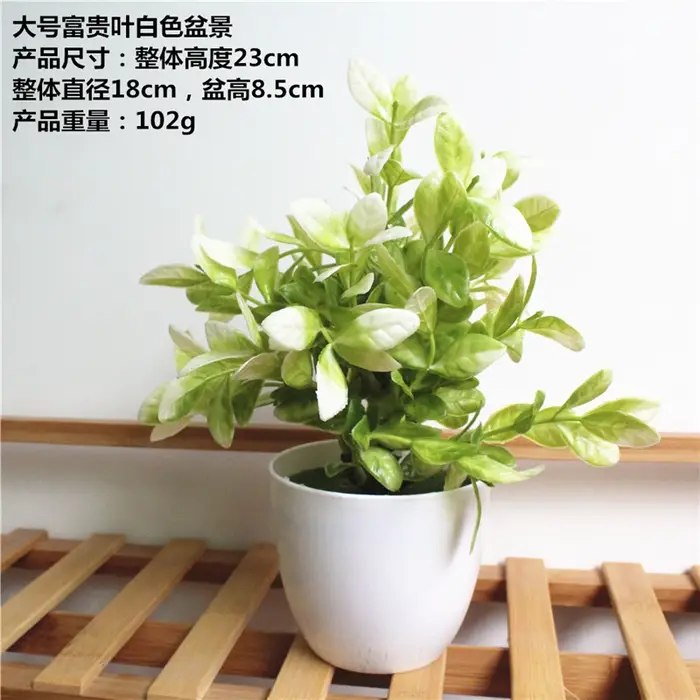 1 ensemble de plantes artificielles simulées succulentes herbe de Milan bonsaï en plastique blanc Pot de fleur accessoires de décoration pour la maison